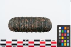 Foto von Bronzering (NHMW-PRAE-035787)